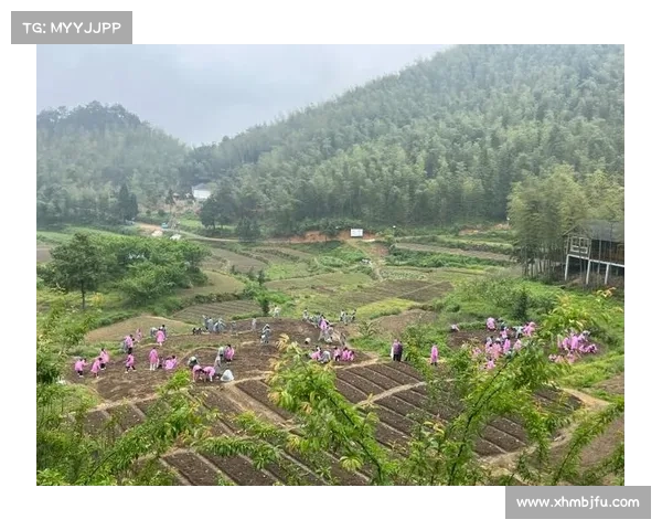 不种菜却专卖精品菜 衢州这位“跨界农民”是怎么做到的 不种菜却专卖精品菜 衢州这位“跨界农民”是怎么做到的